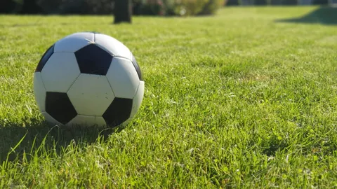 FIFA 世界杯2026 资讯 160020 kyp