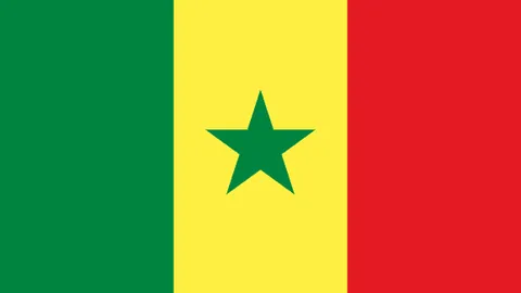 FIFA 世界杯2026 资讯 113250 pe3