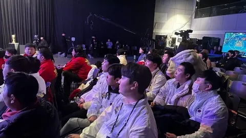 白蚁巢穴控制笼子使用技巧详解